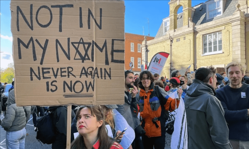A Jewish woman protests for Palestine. ― Anadolu Agency