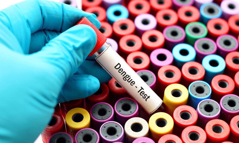 — فوٹو: کینوا — فوٹو: کینوا