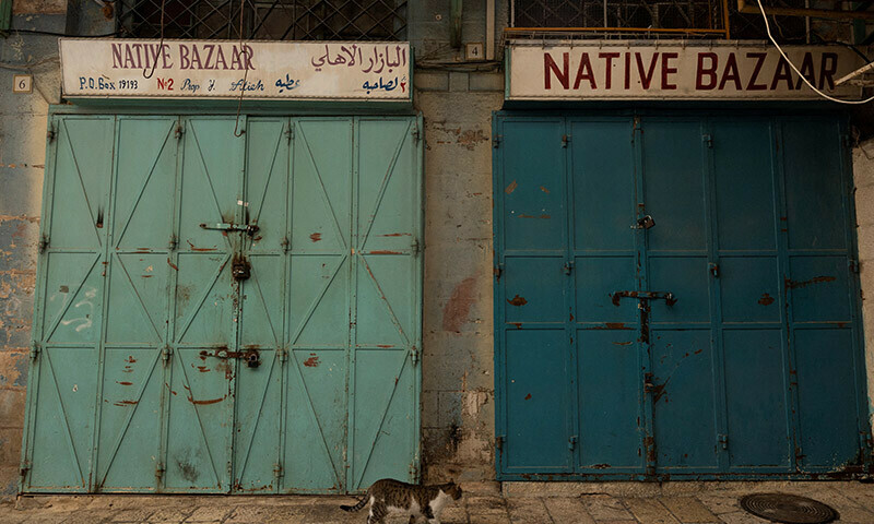 A cat walks past closed shops during a strike as a protest against the killing of senior Hamas official, Saleh al-Arouri, in Jerusalem&rsquo;s Old City. &mdash; Reuters