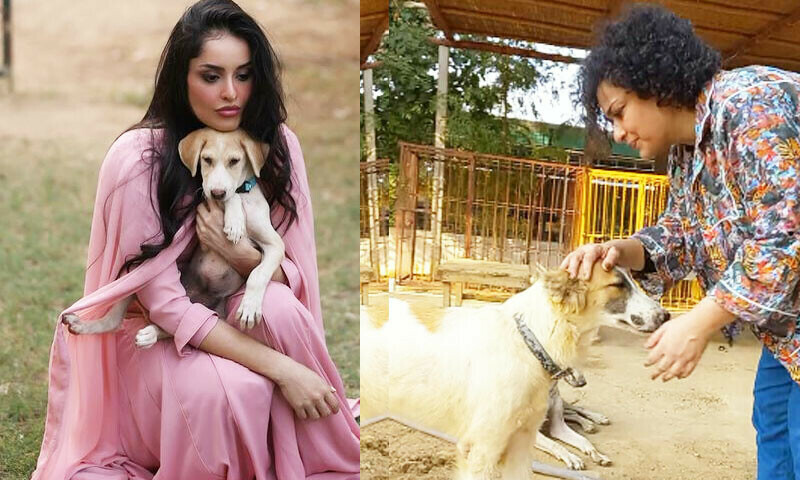 &mdash;فوٹو: انسٹاگرام