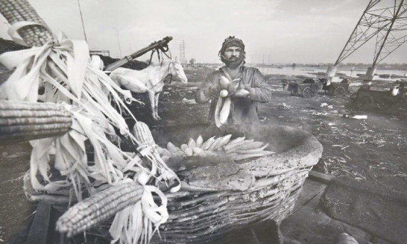 —Photos by Tanveer Shahzad —Photos by Tanveer Shahzad