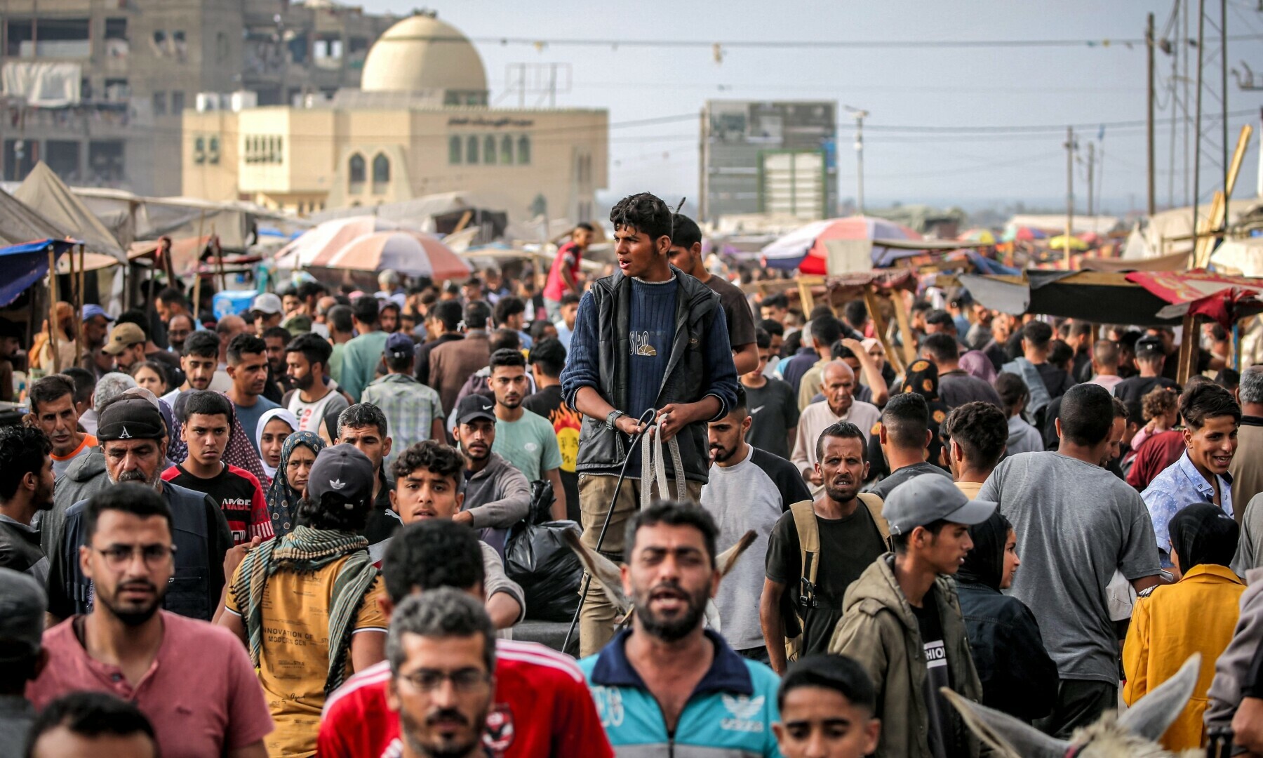  A youth drives a donkey-drawn cart along a busy road at a camp housing displaced Palestinians in Rafah in the southern Gaza Strip on April 30. &mdash; AFP 