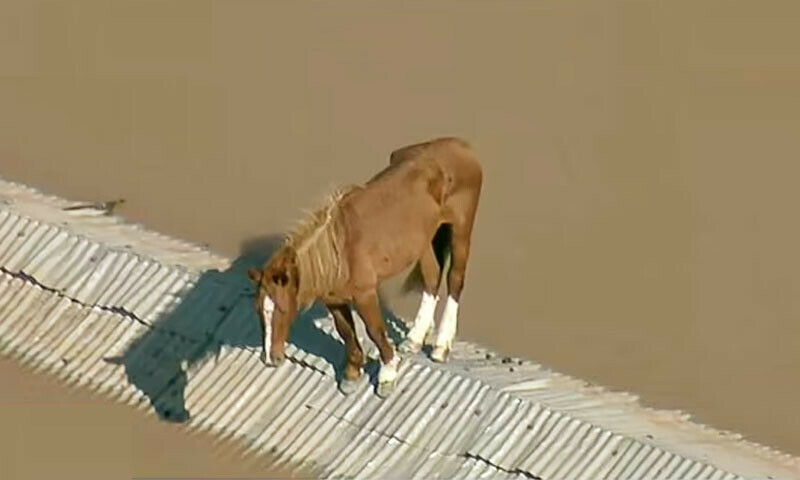 &mdash;اسکرین شاٹ