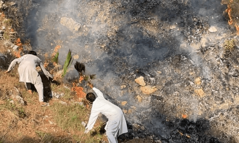 Villagers extinguish wildfire in Chanjal Kabaya Galli near Muzaffarabad. &mdash; Photo by author