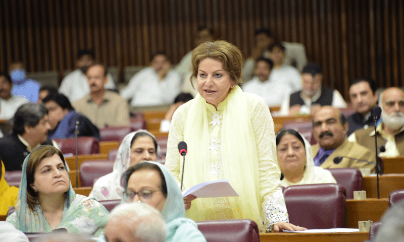 In majority vote, NA dismisses US resolution as &lsquo;interference&rsquo;