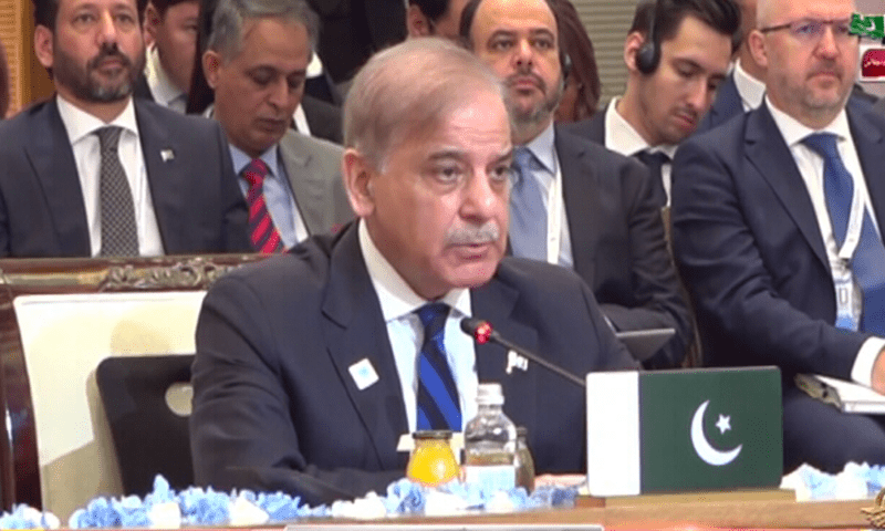  PM Shehbaz at SCO summit in Astana. &mdash; DawnNewsTV