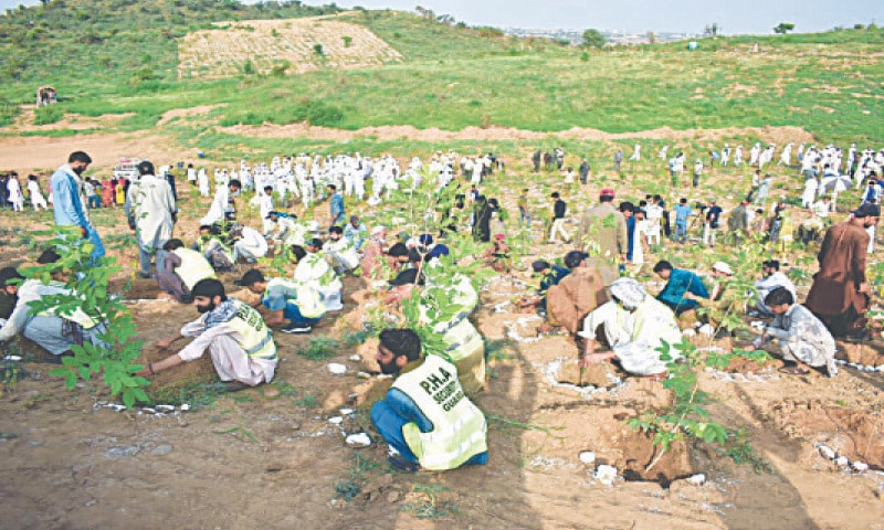 PHA and forest department officials plant saplings at Takht Pari in Rawalpindi on Saturday. &mdash; White Star