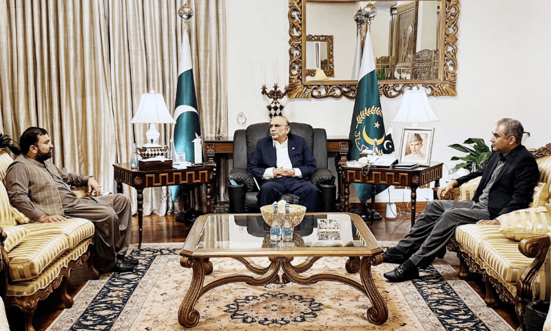 صدر مملکت آصف علی زرداری سے وزیر داخلہ محسن نقوی اور وزیر اعلیٰ بلوچستان سرفراز بگٹی کی ملاقات کا منظر&mdash; فوٹو: اے پی پی