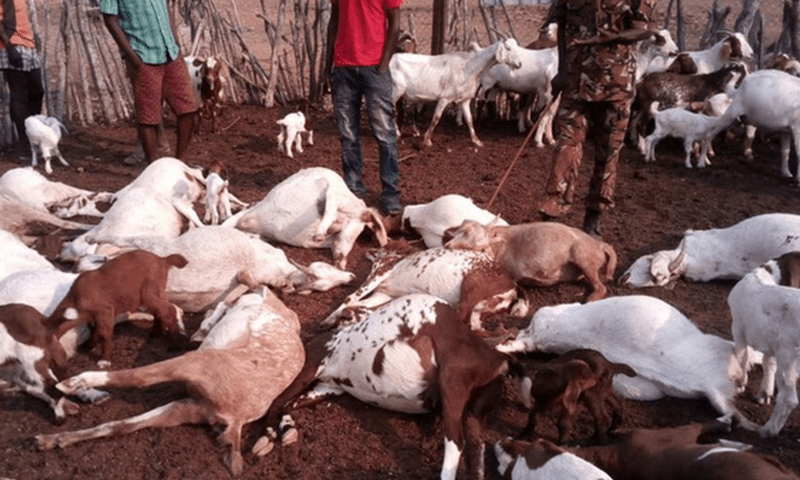 &mdash; فائل فوٹو: آن لائن