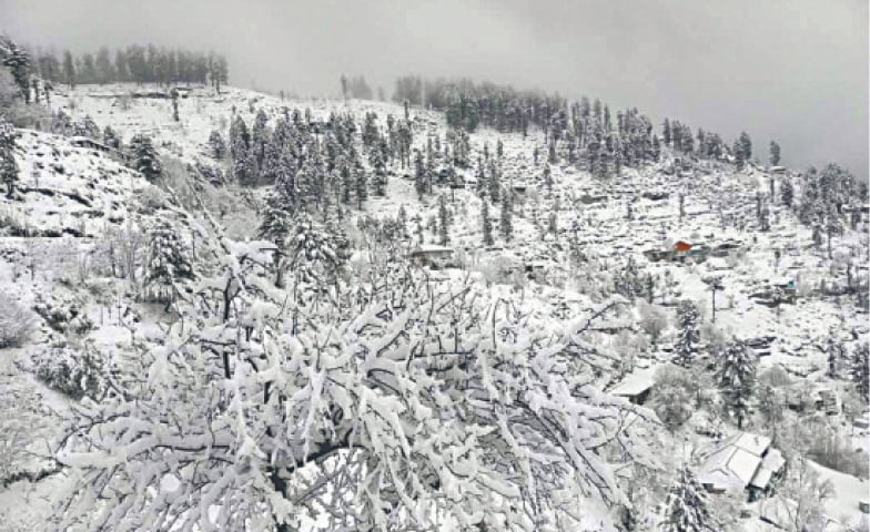 A view of Chakesar Khadang village, Shangla, after snowfall. &mdash; Dawn