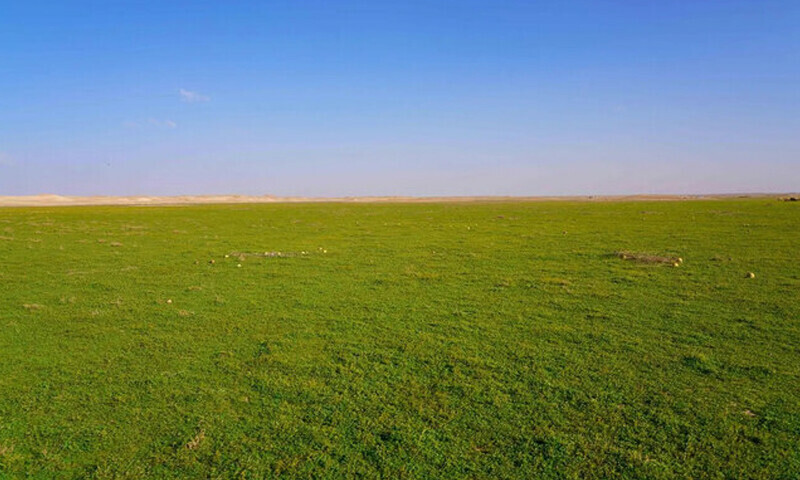 &mdash; فوٹو: سعودی پریس ایجنسی