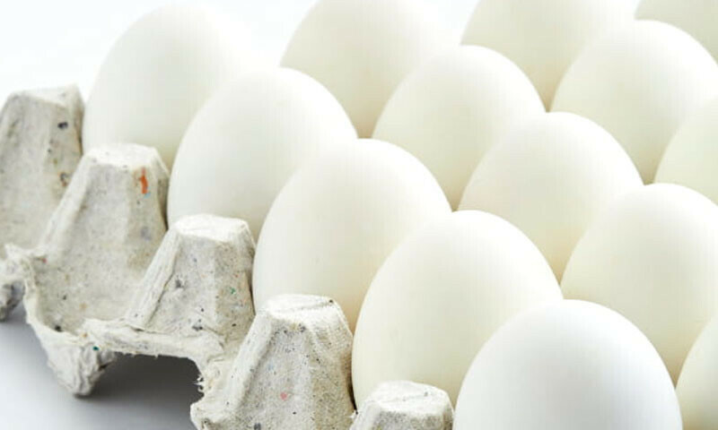 &mdash; فائل فوٹو