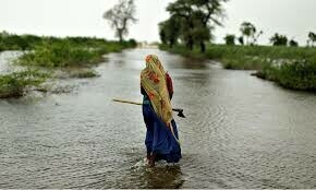 Climate change to boost non-agri water use: World Bank