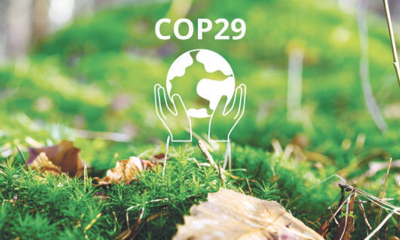 Translating policies into climate resilience