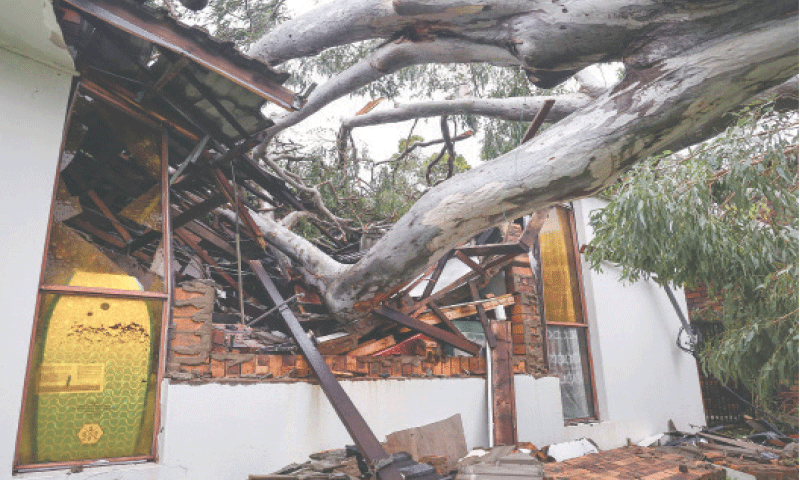 A VIEW of a damaged home after a tree uprooted by strong winds crashed into the structure in Elanora, a town on Australia&rsquo;s eastern coast, on Saturday.&mdash;AFP