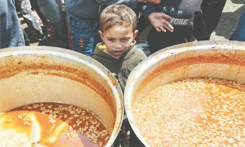 اکتوبر 2023 سے اب تک اسرائیلی حملوں میں 50 ہزار سے زائد فلسطینی شہید، لاکھوں بے گھر ہوچکے
—فوٹو: اے ایف پی اکتوبر 2023 سے اب تک اسرائیلی حملوں میں 50 ہزار سے زائد فلسطینی شہید، لاکھوں بے گھر ہوچکے
—فوٹو: اے ایف پی