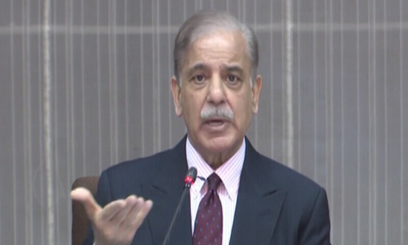 Prime Minister Shehbaz Sharif addresses the federal cabinet on Tuesday. &mdash; DawnNewsTV