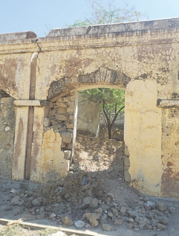 The cracked plasters expose the stone-built walls as wild trees grow inside the British-era dak bungalow.