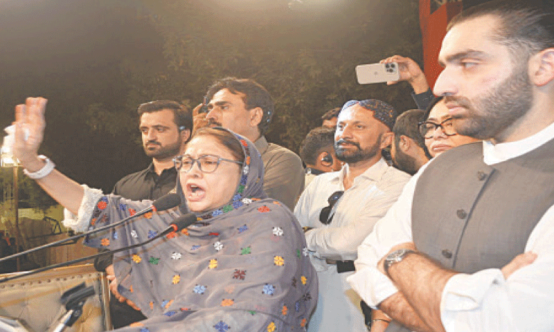 MPA Faryal Talpur speaks at the public meeting in Tandojam on Sunday.&mdash;Dawn