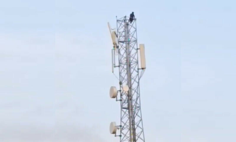 &mdash; فوٹو: سوشل میڈیا