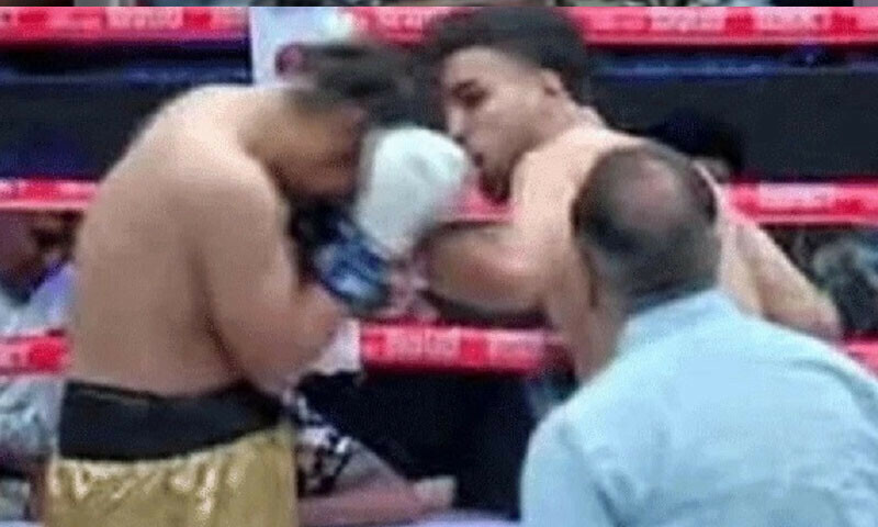 — فوٹو: پی ٹی وی — فوٹو: پی ٹی وی