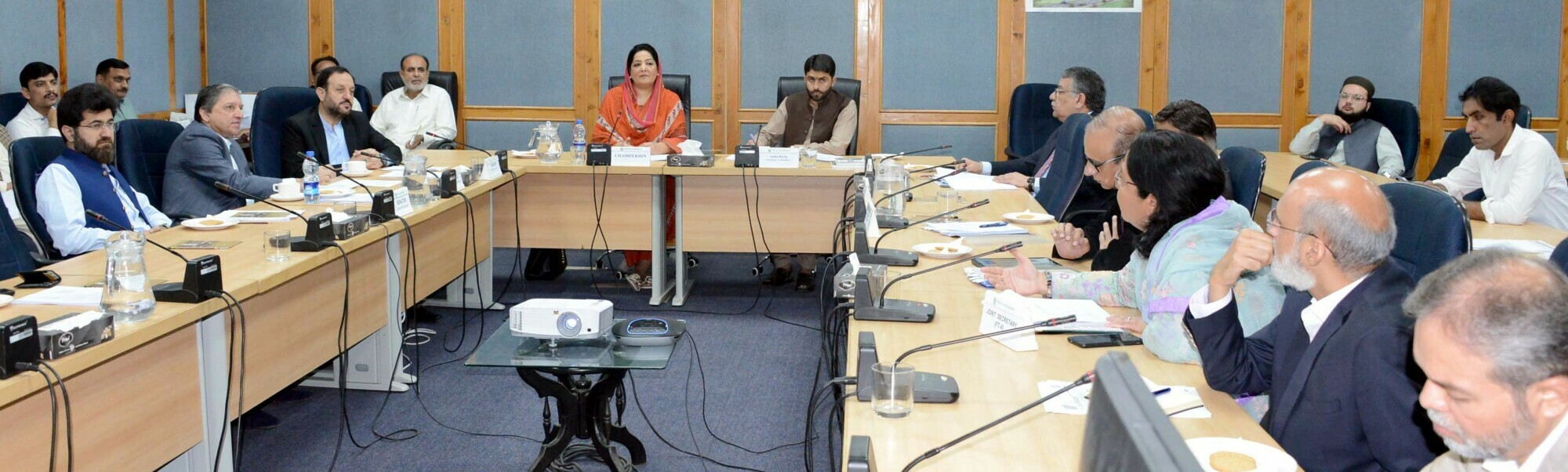 Senator Anusha Rehman presides over a meeting of Sen­ate Standing Committee on Commerce, May 6, 2025. — Senate of Pakistan