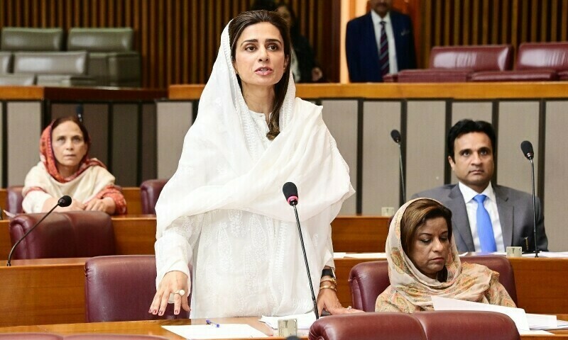 سابق وزیر خارجہ حنا ربانی کھر نے کہا کہ بھارت نے عقل سے عاری قدم اٹھایا — فوٹو: قومی اسمبلی ایکس