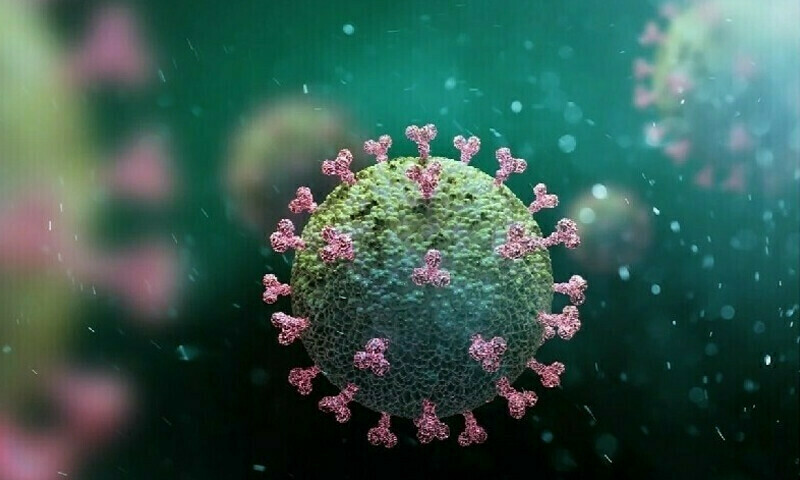 — فائل فوٹو: شٹر اسٹاک