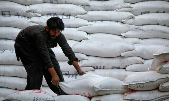 خریف سیزن میں 8 کروڑ 3 لاکھ ٹن گنے کی پیداوار کا ہدف مقرر کیا گیا ہے &mdash; فائل فوٹو