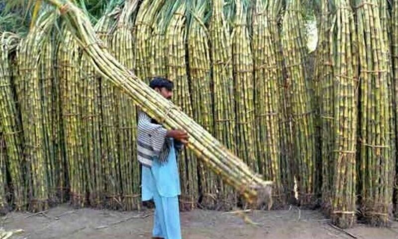 &mdash; فائل فوٹو