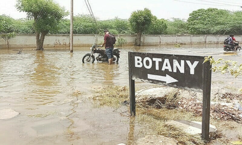 The road in front of Karachi University&rsquo;s Botany Department is submerged in water.&mdash;Fahim Siddiqi / White Star/File