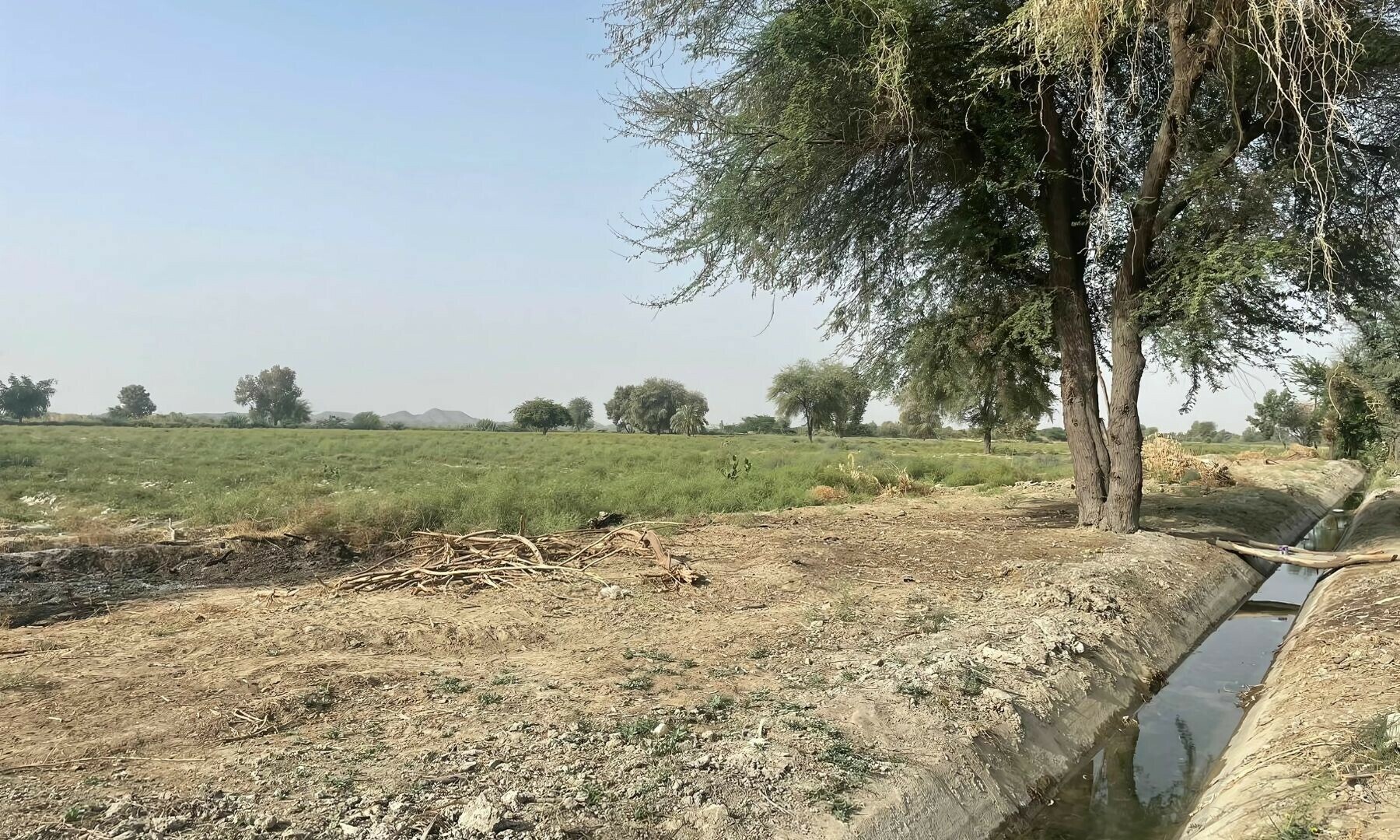 The remainder of what agricultural land is left in Dasht.