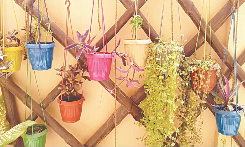 Economical plastic hangings on a painted bamboo trellis | Photos by the writer