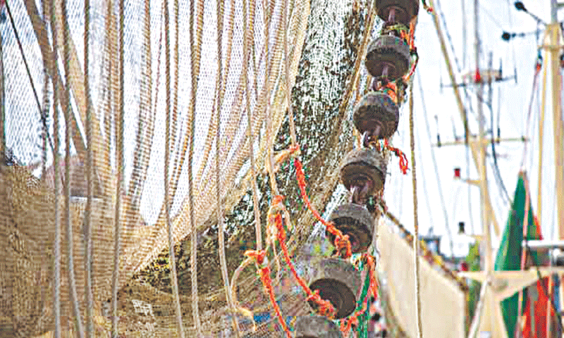 A bottom trawl net hanging to dry in the harbour of Harlingen in the Netherlands, showing the rockhopper rollers on the footrope that contacts the seabed | 365 Focus Photography