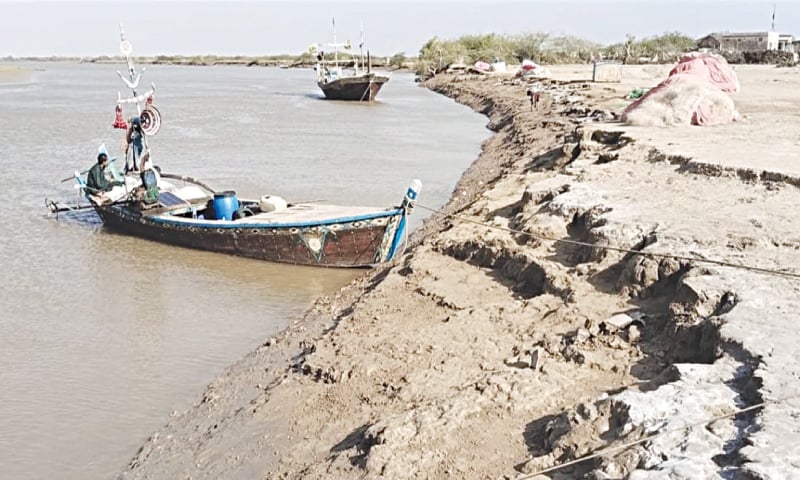 ONCE lush green swath, this large part of Sindh’s coastline along Thatta has been rendered uncultivable due to sea intrusion. Thousands of acres along Sindh’s coastline have been devoured by sea over the last few decades.—Photo by the writer ONCE lush green swath, this large part of Sindh’s coastline along Thatta has been rendered uncultivable due to sea intrusion. Thousands of acres along Sindh’s coastline have been devoured by sea over the last few decades.—Photo by the writer