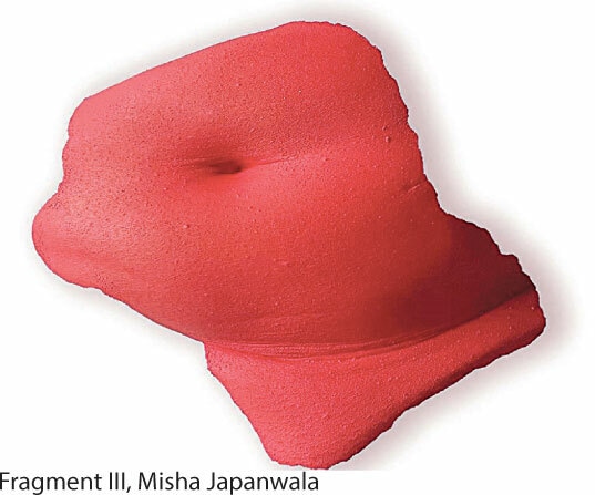 Fragment III, Misha Japanwala