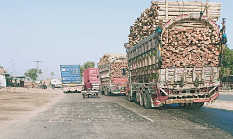 trucks loaded with logs move unchecked to markets.—Photo by the writer