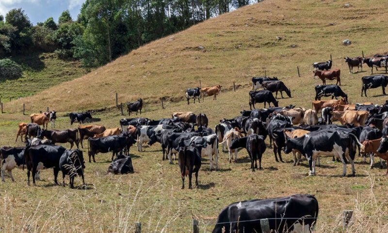 &mdash; فائل فوٹو: کینوا