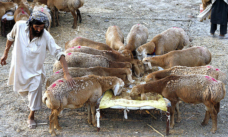 &mdash; فائل فوٹو: ڈان نیوز