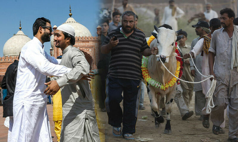 — فائل فوٹو: سوشل میڈیا — فائل فوٹو: سوشل میڈیا