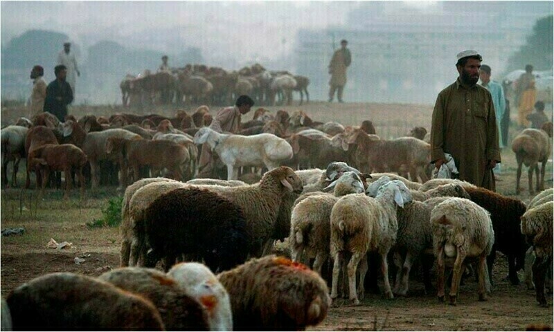 &mdash; فائل فوٹو: ڈان نیوز