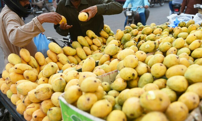 &mdash;فوٹو: اے ایف پی