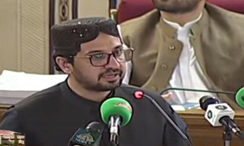 فوٹو: اسکرین گریب، ڈان نیوز