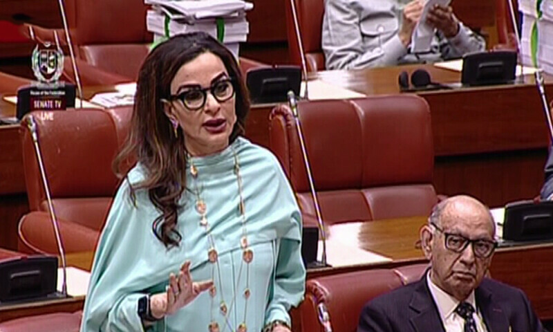 Senator Sherry Rehman speaks in the Senate on June 18. — DawnNewsTV