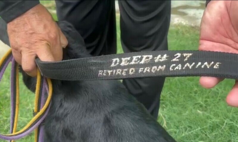 A name tag saying “Deep # 27 Retired from canine” shown at the retirement ceremony, Peshawar. — Photo by the author