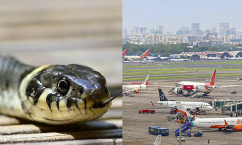 — فوٹو: بھارتی میڈیا — فوٹو: بھارتی میڈیا