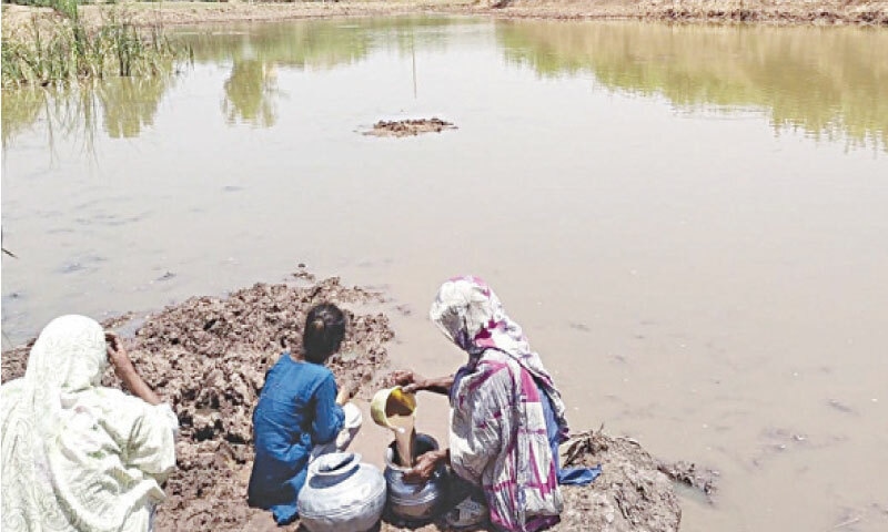 A woman fills her utensil with muddy water to use for household purposes. &mdash; Dawn