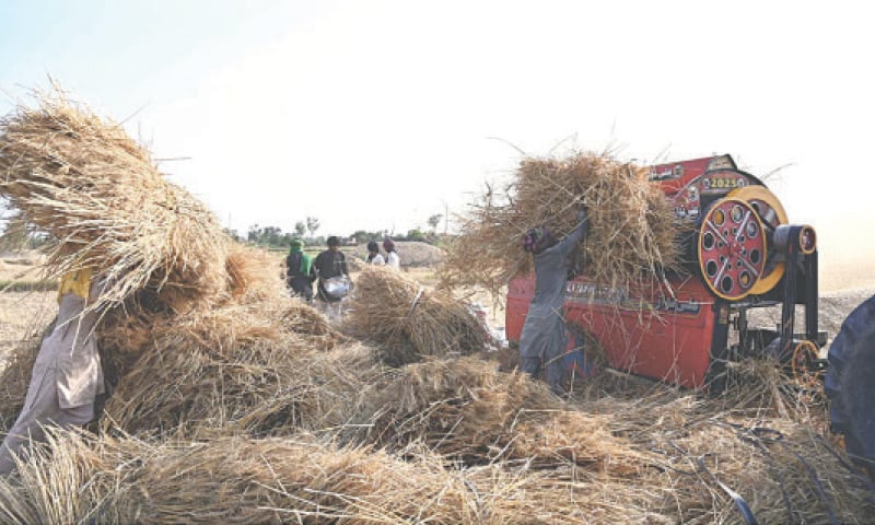 PAKISTAN lacks a standardised framework or strategy for promoting and implementing precision agriculture as a climate resilience measure.—APP / file