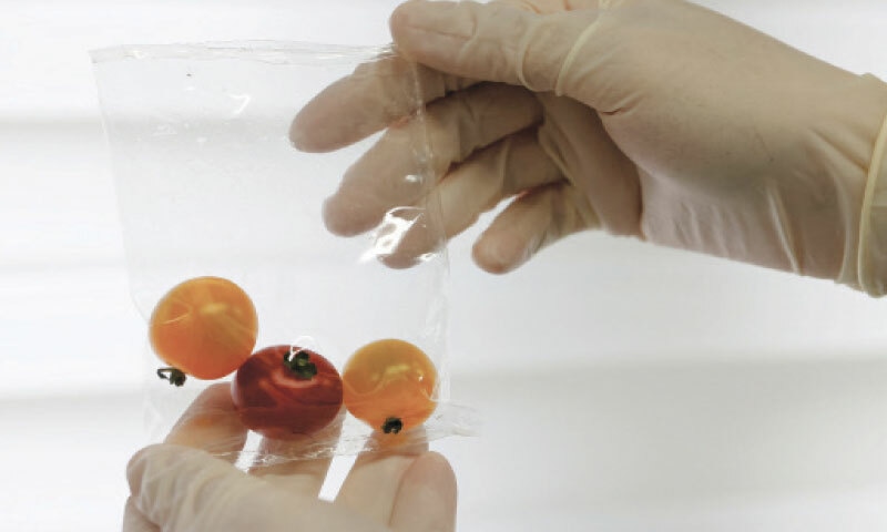 A RESEARCHER shows a plastic bag made of ocean-degradable plastic at a centre of excellence in Japan.&mdash;Reuters