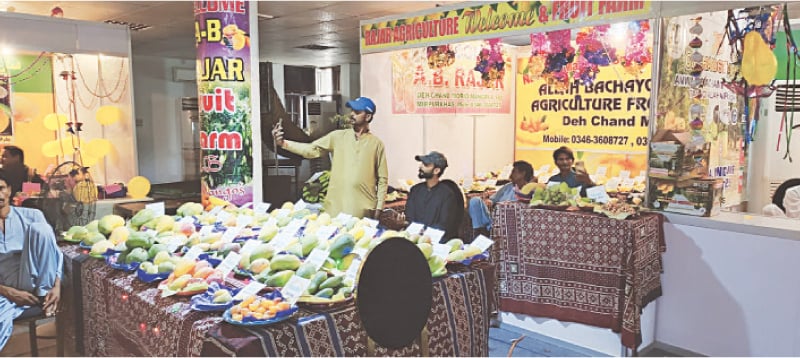 A VISITOR takes a selfie amid stalls decked with different varieties of mangoes at the festival on Thursday.&mdash;Photo by the writer